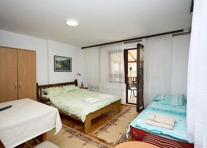 Dr. Gasa * Soko Banja